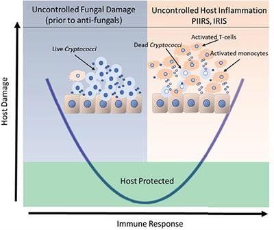 Treatment recommendations for non-HIV associated cryptococcal meningoencephalitis including management of post-infectious inflammatory response syndrome